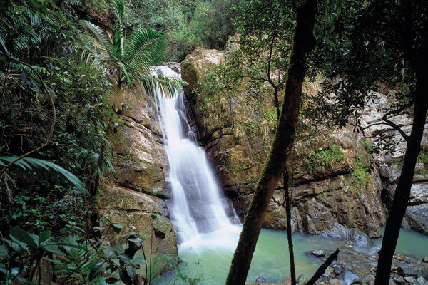 el yunque waterfall